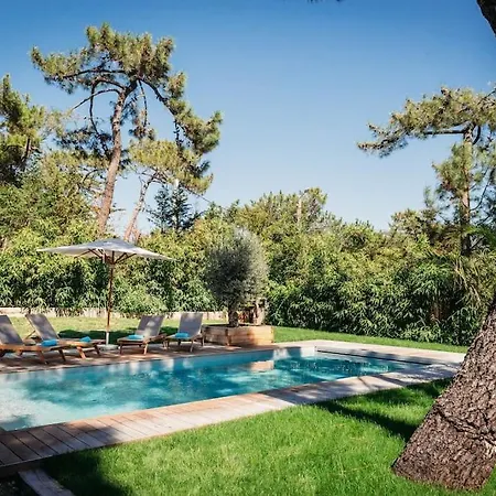 Luxueuse Avec Piscine Dom wakacyjny Lège-Cap-Ferret