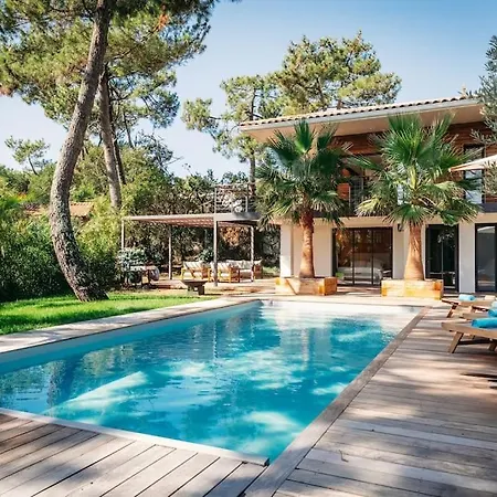 Luxueuse Avec Piscine Lège-Cap-Ferret